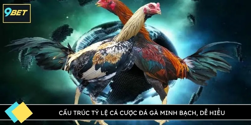 Cấu trúc tỷ lệ cá cược đá gà minh bạch, dễ hiểu