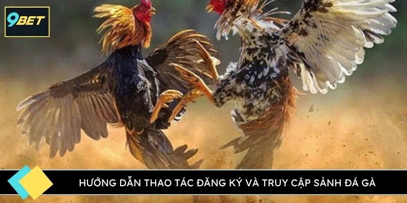 Hướng dẫn thao tác đăng ký và truy cập sảnh đá gà
