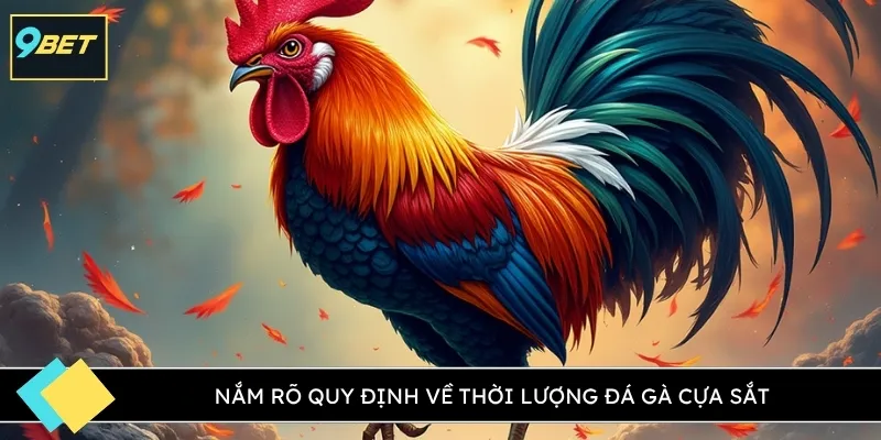 Nắm rõ quy định về thời lượng Đá gà cựa sắt